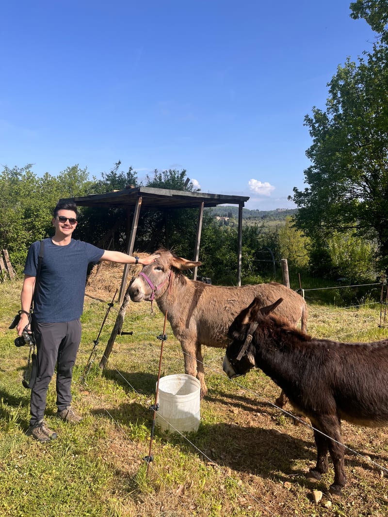 Scott with a camera in hand, reaching over a fence to pet a donkey on a Tuscan hillside